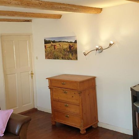 Ferienwohnung Der kleine Fuchshof mit Hund, Pferd und Huhn Rathlau Exterior foto