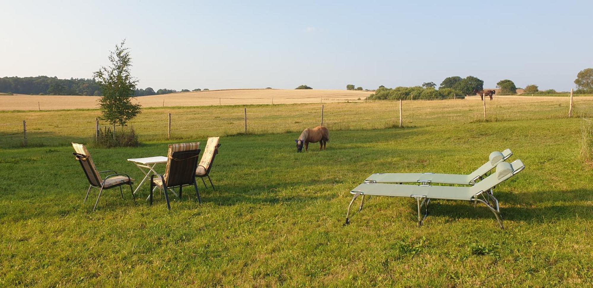 Ferienwohnung Der kleine Fuchshof mit Hund, Pferd und Huhn Rathlau Exterior foto